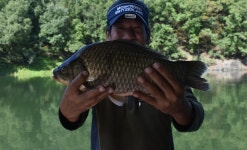 조황조행기 > 충주호조황속보 > 충주호 문골낚시터 대물붕어 4짜&35 붕어조황