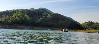 조황조행기 > 충주호조황속보 > 청풍신리낚시터 허리급입니다.