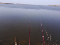 낚시터가는길 > 낚시터 소개 > 새벽에 이게 무슨 난리?