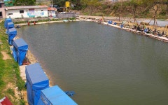 유료터정보 > 유료터 홍보 > 대구 용연사 옥포 손맛터