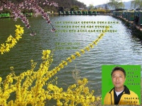 유료터정보 > 유료터 자유게시판 > 무태낚시터 봄단장했습니다.^^