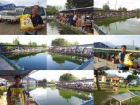 유료터정보 > 유료터 홍보 > [봇또랑]추석연휴기간 감사했습니다~^^