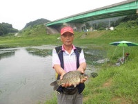 유료터정보 > 유료터 홍보 > 안성 용설지 39cm 월척입니다.