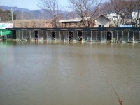 유료터정보 > 유료터 홍보 > 옥포낚시터 개장하는군요