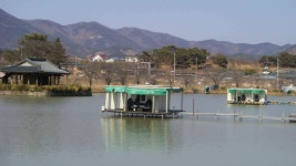 유료터정보 > 유료터 홍보 > 용강지 뿔났다