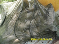 유료터정보 > 유료터 홍보 > 경주동산낚시터