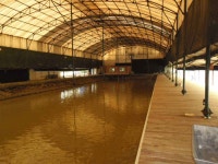 유료터정보 > 유료터 홍보 > 남양주 수동그린낚시터 영업개시 안내