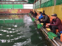 유료터정보 > 유료터 홍보 > [봇또랑] 노지개장 찾아주신 조사님들 감사드립니다. (사진 有)