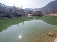 유료터정보 > 유료터조행기 > 공주(유성 20분 거리) 자연 노지 훼미리낚시터