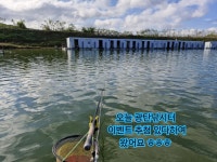유료터정보 > 유료터조행기 > 광탄낚시터 조행기