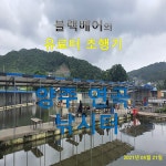 유료터정보 > 유료터조행기 > 블랙베어의 유료터 조행기 - 양주 연곡 낚시터