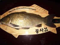 유료터정보 > 유료터조행기 > 아이들과 함께 한 보물섬 조행기