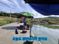 유료터정보 > 유료터조행기 > 광탄낚시터 어제 조황 유료터정보 > 유료터조행기 > 광탄낚시터 어제 조황 