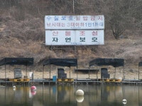 유료터정보 > 유료터조행기 > 하빈 가곡지 짬낚시 다녀왔습니다!!