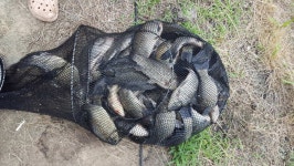 유료터정보 > 유료터조행기 > 낚시는 좋은 사람과 함께