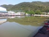 유료터정보 > 유료터조행기 > 떡붕어가 노니는...동화 낚시터에서~~~^^