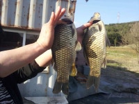 유료터정보 > 유료터 자유게시판 > 강풍속에 문양낚시터 월척붕어