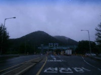 유료터정보 > 유료터조행기 > 경주 오류(황토)낚시터-- 쭉쭉빵빵에게 다굴 당함-- ㅎ~~~