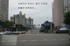 유료터정보 > 유료터조행기 > 북동낚시터에서 밤낚시