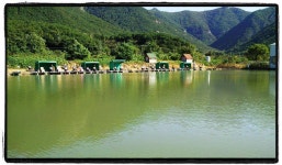 유료터정보 > 유료터조행기 > 매전낚시터 다녀왔습니다