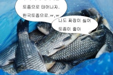 유료터정보 > 유료터조행기 > 북동낚시터에서 밤낚시