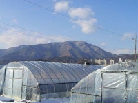 유료터정보 > 유료터조행기 > 봇또랑 가든낚시터 조행기 입니다