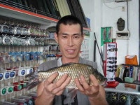 조황조행기 > 특파원조황 > 정당리 제방각지. 오지소류지. 팔봉수로 조황