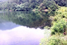 한풀꺽인 더위-8월중순의 조황안내 입니다. :: 토종붕어를 사랑하는 사람들