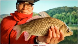 조황조행기 > 특파원조황 > 당진 항곡 낚시터..