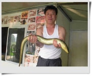 조황조행기 > 특파원조황 > 목벌낚시터 대물장어와 충주호 노지 안내