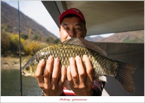 조황조행기 > 특파원조황 > 솔 4 짜 대물 조황..