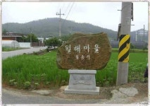 조황조행기 > 특파원조황 > 장마속에 나주소류지!