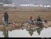 조황/조행기 > 특파원조황 > 예당지조황