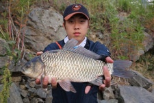 조황조행기 > 특파원조황 > 천수만[부남호]6월15일 40cm외 마릿수조황