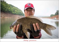 조황조행기 > 특파원조황 > 청풍 신리 낚시터 43.5 cm..40 cm..