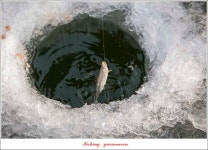 조황조행기 > 특파원조황 > 충주권 빙어 낚시..