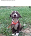 조황조행기 > 모바일간편조행 > 일로~무안 중간에 에서 시작 합니다 ~!