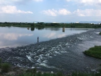 조황조행기 > 모바일간편조행 > 금호강 하양(호산대학교)