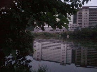 조황/조행기 > 스마트조황 > 왜관내곡지왔심더