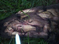 조황조행기 > 모바일간편조행 > 차명소류지에서의하루밤