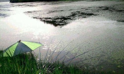 조황/조행기 > 모바일간편조행 > 진도 봉암지에서 조황/조행기 > 모바일간편조행 > 진도  봉암지에서