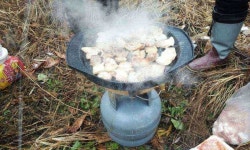 조황/조행기 > 스마트조황 > 신탄진 노산지