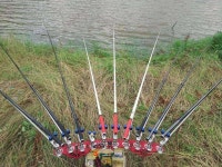 조황조행기 > 모바일간편조행 > 청도 당지