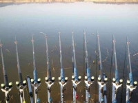 조황조행기 > 모바일간편조행 > 천수만은 있는가