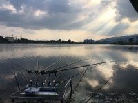 조황조행기 > 모바일간편조행 > 금호강 하양교2