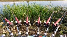 조황조행기 > 모바일간편조행 > 경산 오목천 시작합니다.