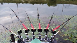 조황조행기 > 모바일간편조행 > 경산 오목천 시작합니다.