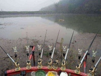 조황조행기 > 모바일간편조행 > 내고향 안강 소류지