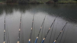 조황조행기 > 모바일간편조행 > 의성 청호가든 아래쪽에서