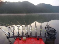 조황조행기 > 모바일간편조행 > 청송군 진보면 고현저수지에서